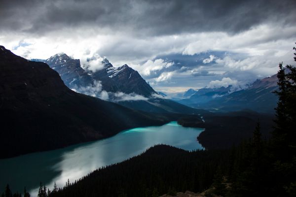 Gordon Bay
